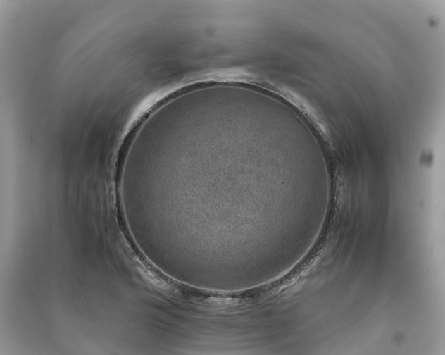 X0000091011176200708091555