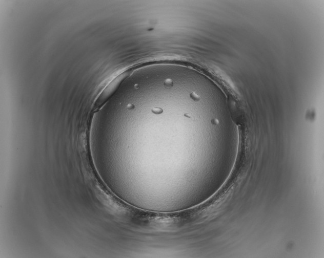 X0000091011177200708091555
