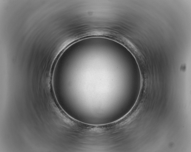 X0000091011178200708091555