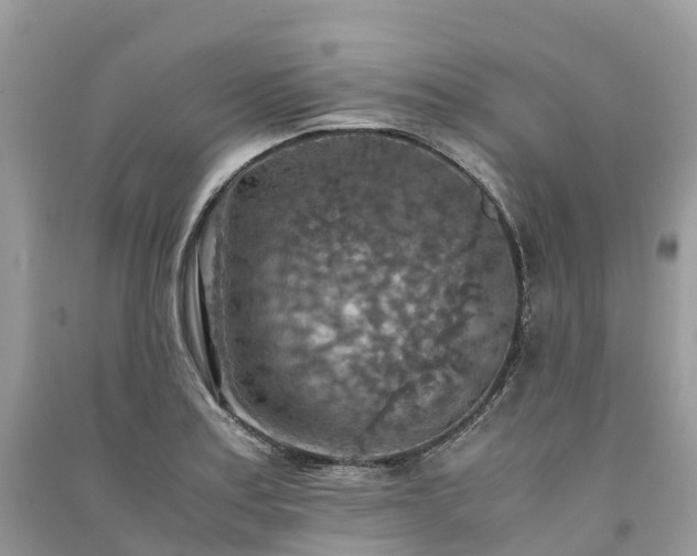 X0000091011179200708091555