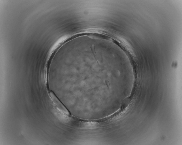 X0000091011180200708091555