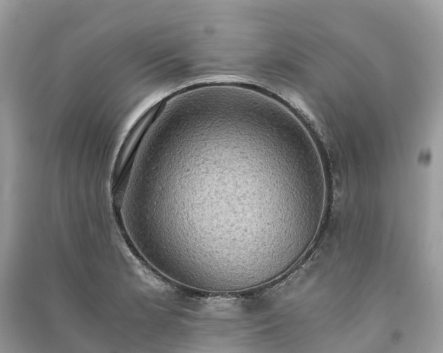 X0000091011181200708091555