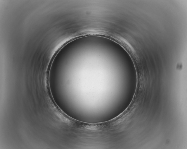 X0000091011182200708091555