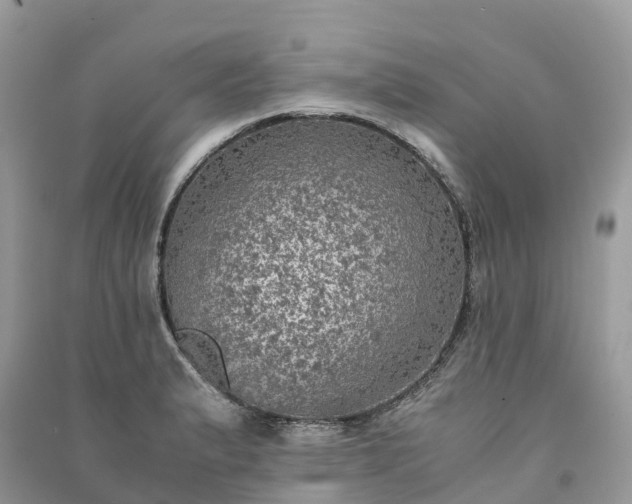 X0000091011183200708091555