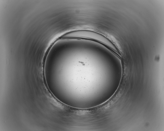 X0000091011184200708091555