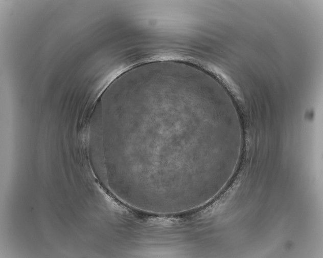 X0000091011185200708091555