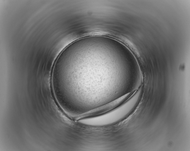 X0000091011186200708091555