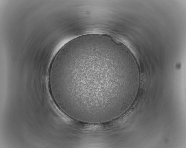 X0000091011187200708091555