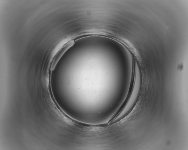 X0000091011188200708091555