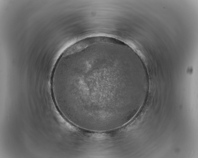 X0000091011189200708091555
