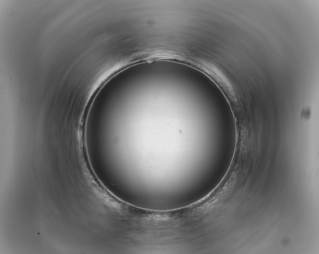 X0000091011190200708091555