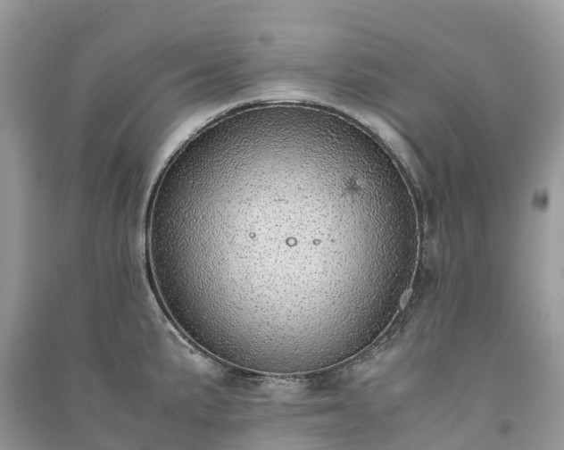 X0000091011191200708091555