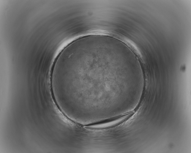 X0000091011192200708091555