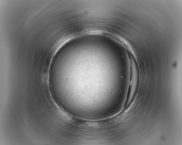 X0000091011194200708091555