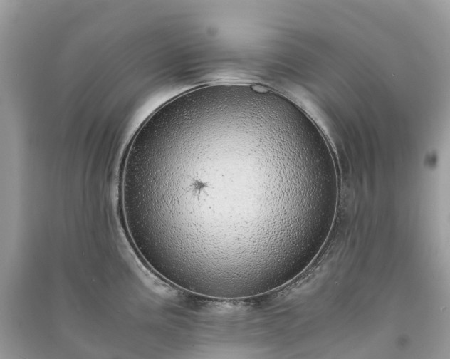 X0000091011195200708091555
