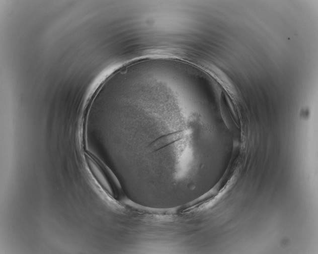 X0000091011196200708091555