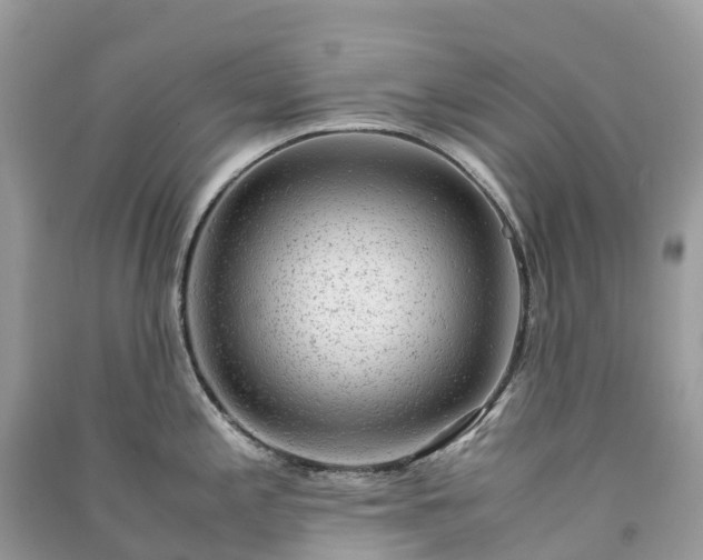 X0000091011197200708091555