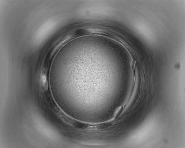 X0000091011198200708091555