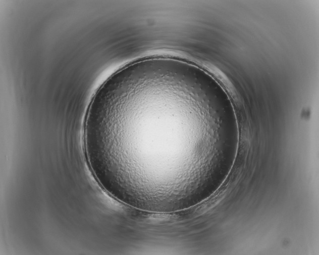 X0000091011199200708091555