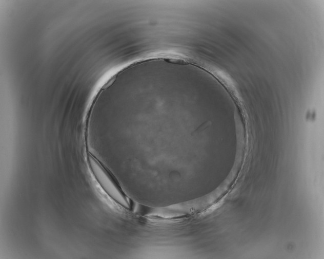 X0000091011200200708091554