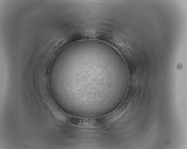 X0000091011201200708091554