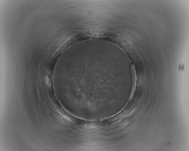 X0000091011202200708091554