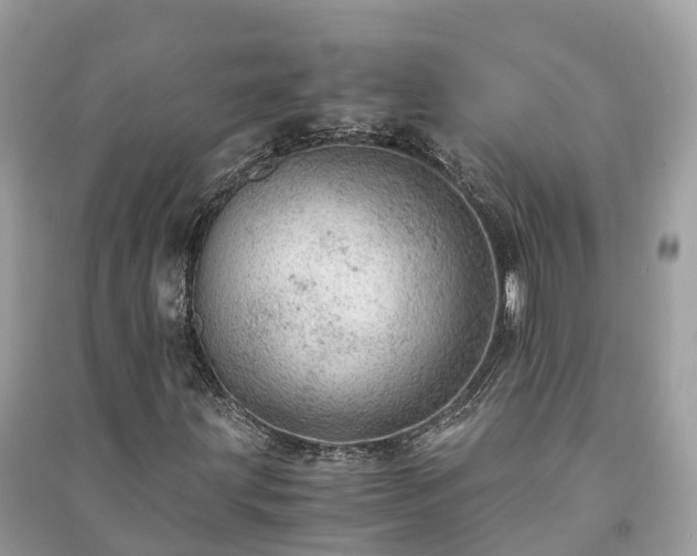 X0000091011203200708091554