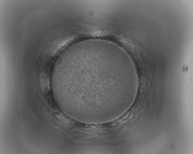 X0000091011205200708091554