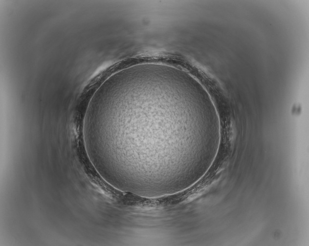 X0000091011206200708091554