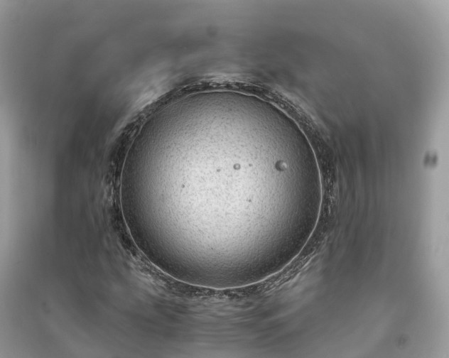 X0000091011207200708091554
