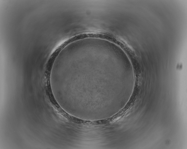 X0000091011208200708091554