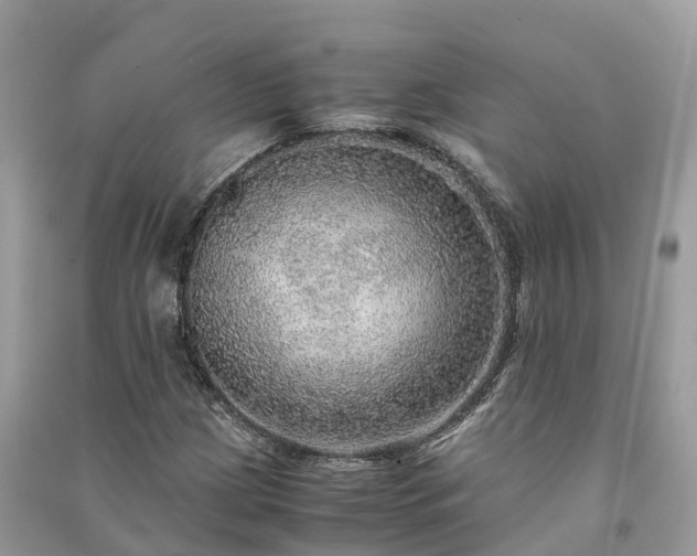 X0000091011209200708091554