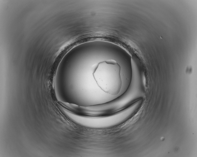 X0000091011210200708091554