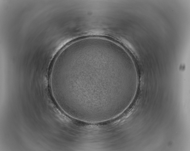 X0000091011212200708091554