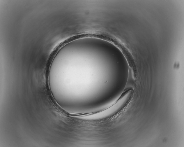 X0000091011214200708091554