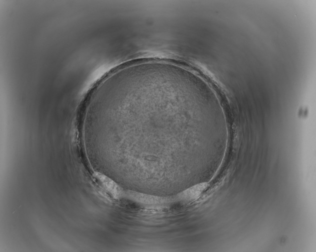 X0000091011215200708091554