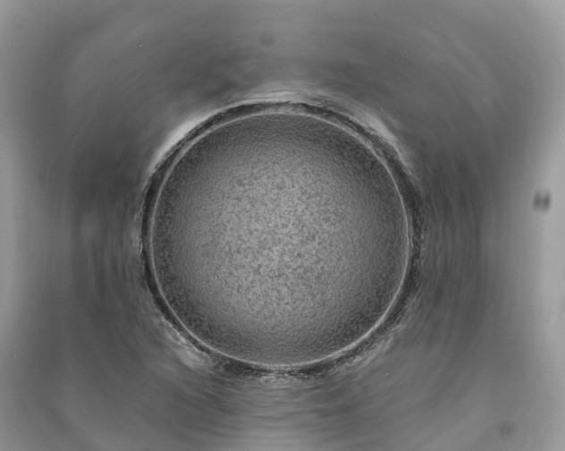 X0000091011216200708091554