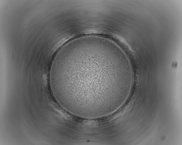X0000091011217200708091554