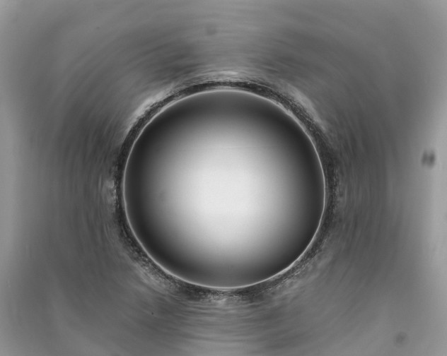 X0000091011218200708091554