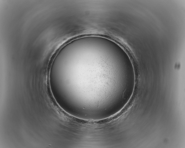 X0000091011220200708091554