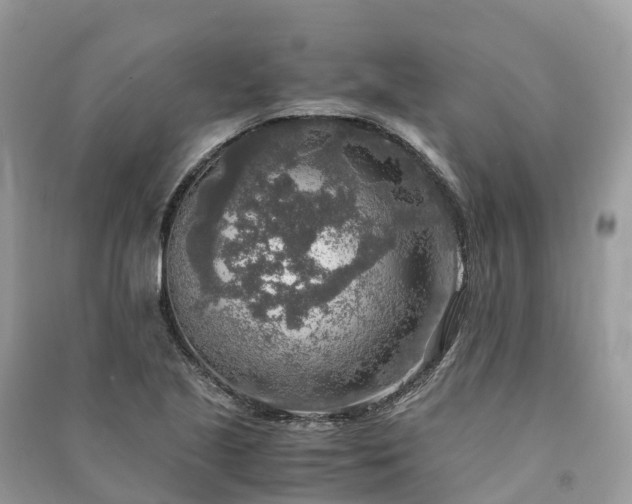 X0000091011221200708091554