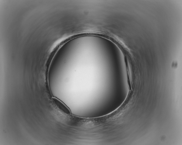 X0000091011222200708091554