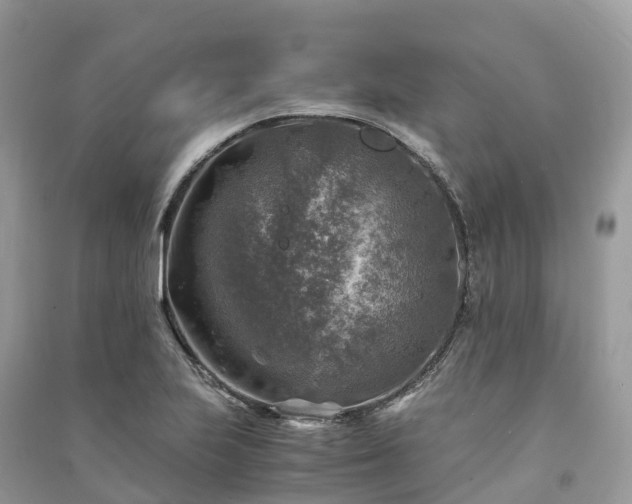 X0000091011223200708091554