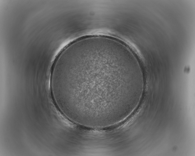 X0000091011224200708091554