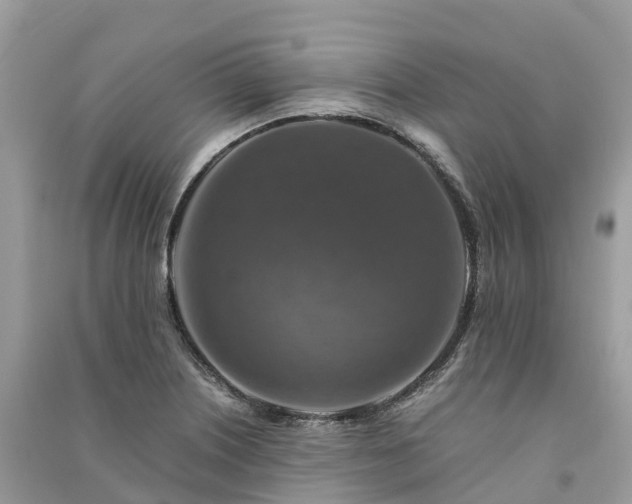 X0000091011226200708091554