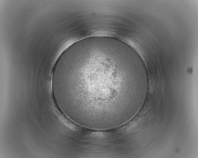 X0000091011227200708091554