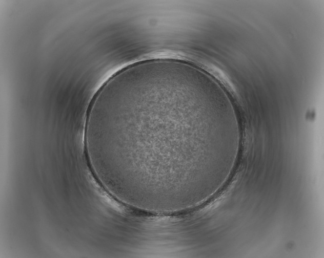 X0000091011228200708091554