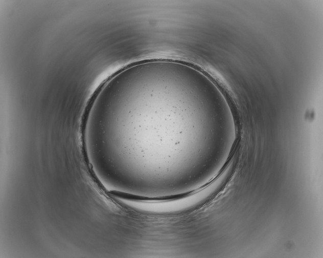 X0000091011230200708091554