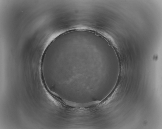 X0000091011231200708091554