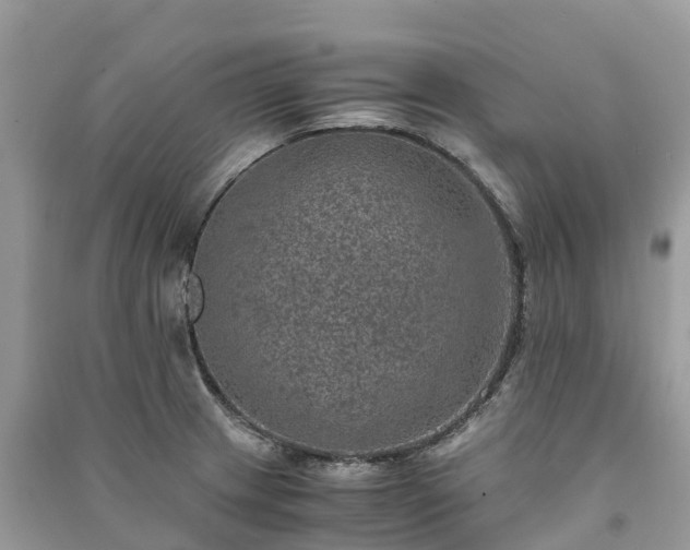 X0000091011233200708091554